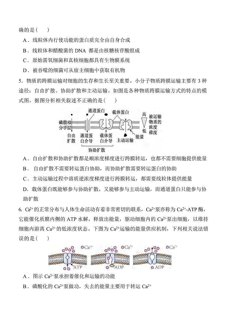 生物丨陕西省西安中学高2025届高三上学期11月第二次调研考试生物试卷及答案第2页