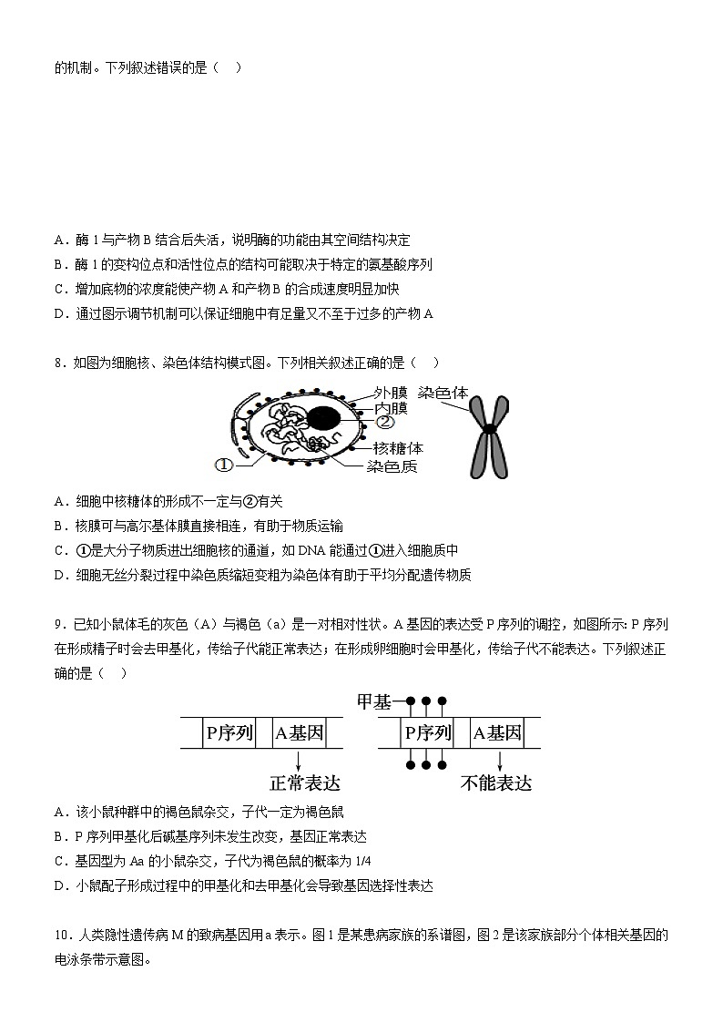 广东省阳江市高新区2024-2025学年高二上学期11月期中生物试题第3页