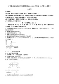 广西壮族自治区南宁市西乡塘区2024-2025学年高一上学期11月期中生物试题