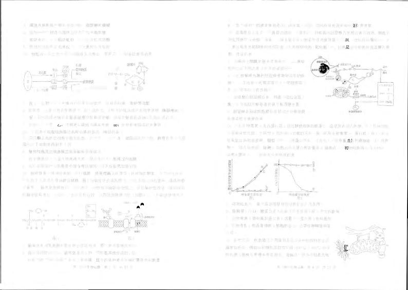 山东省实验中学2024-2025学年高一上学期11月期中生物试题03