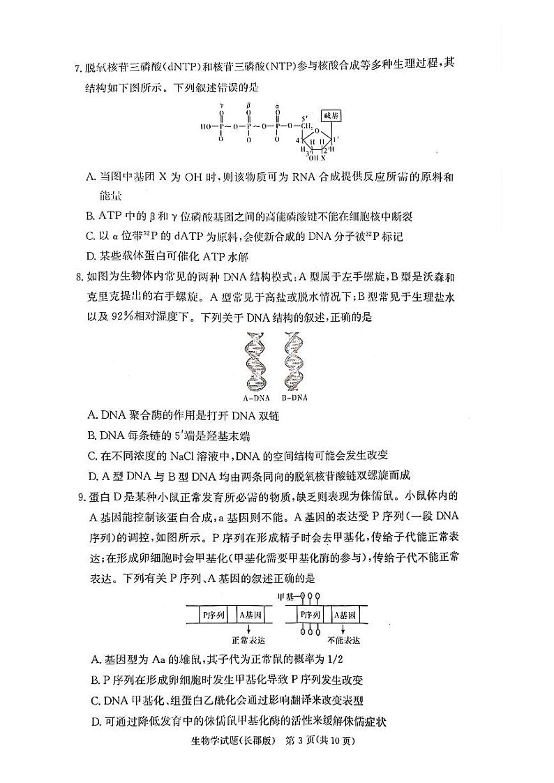 （生物试卷）长郡中学2025届高三月考试卷（二） 生物试卷第3页