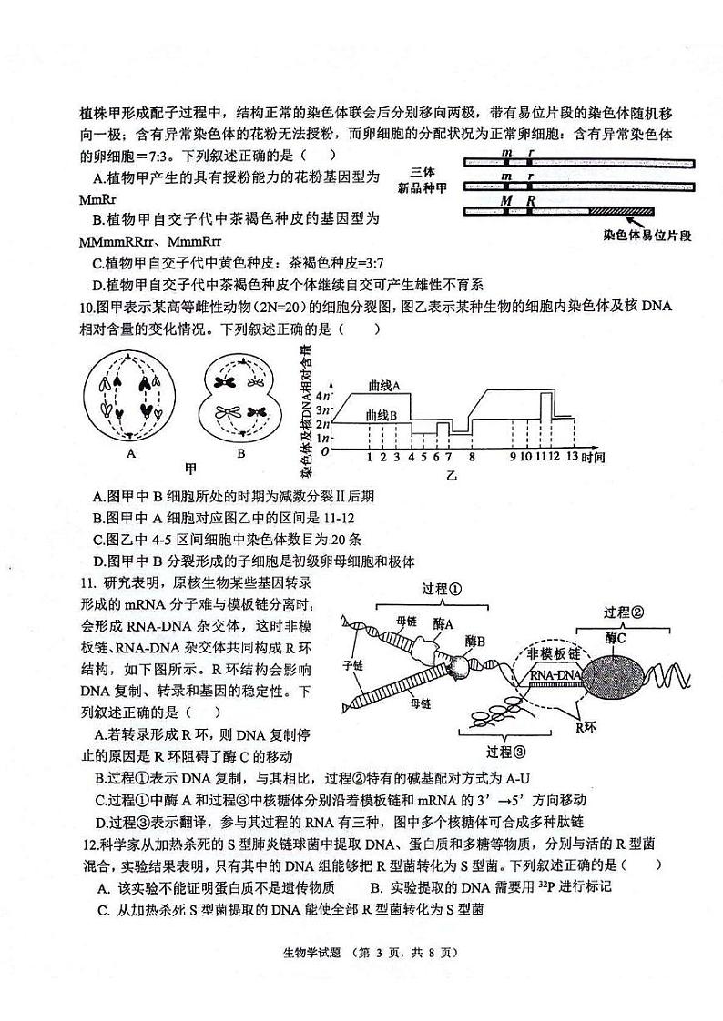 2025届陕西省西安市高三上学期11月考-生物+答案03