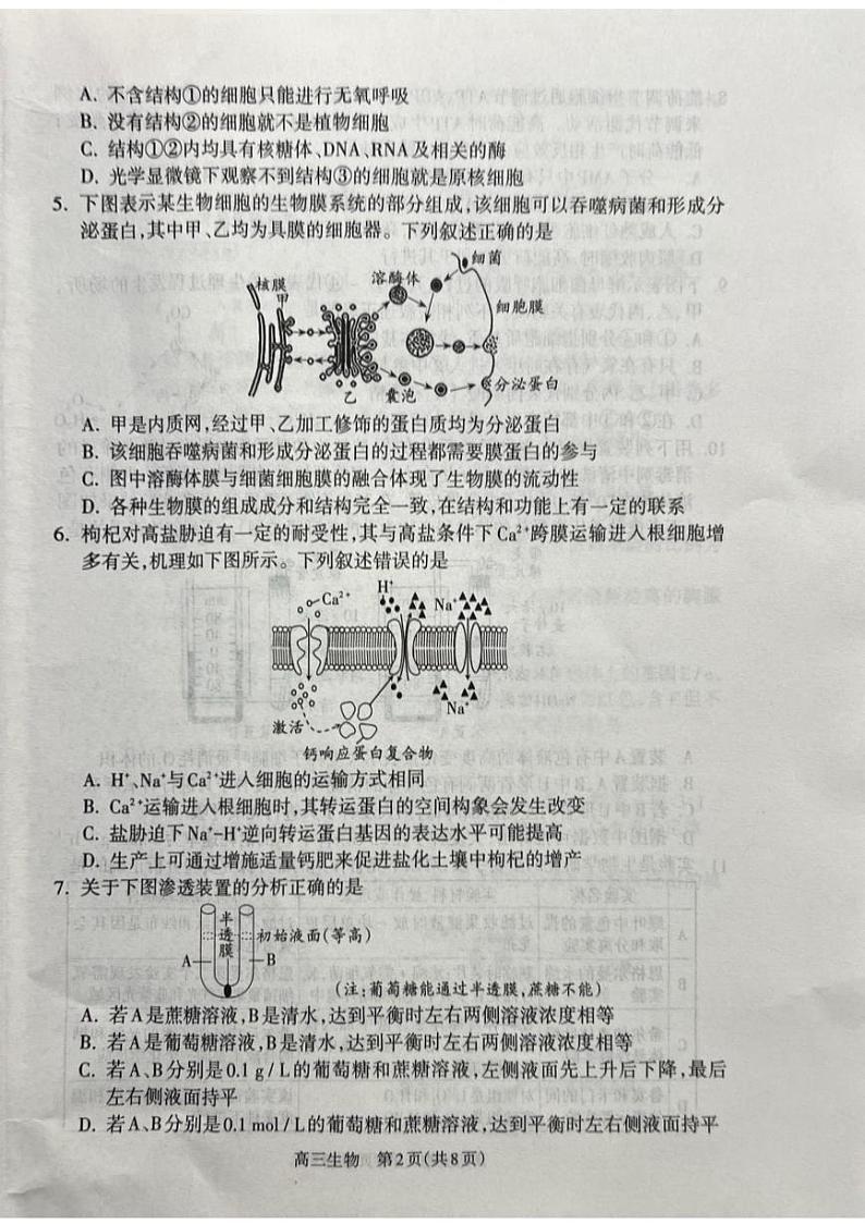 2025届山西省吕梁市高三上学期11月期中考-生物试题+答案第2页