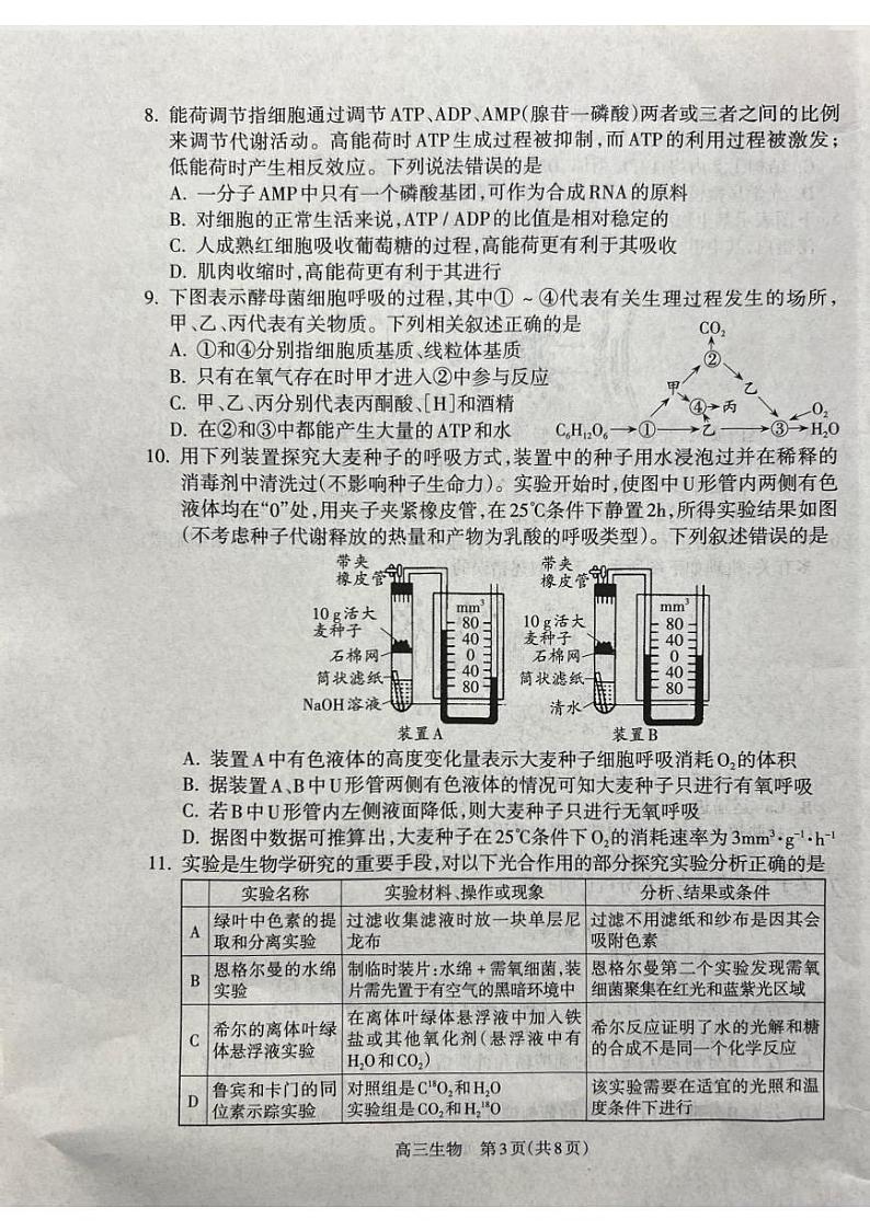 2025届山西省吕梁市高三上学期11月期中考-生物试题+答案第3页