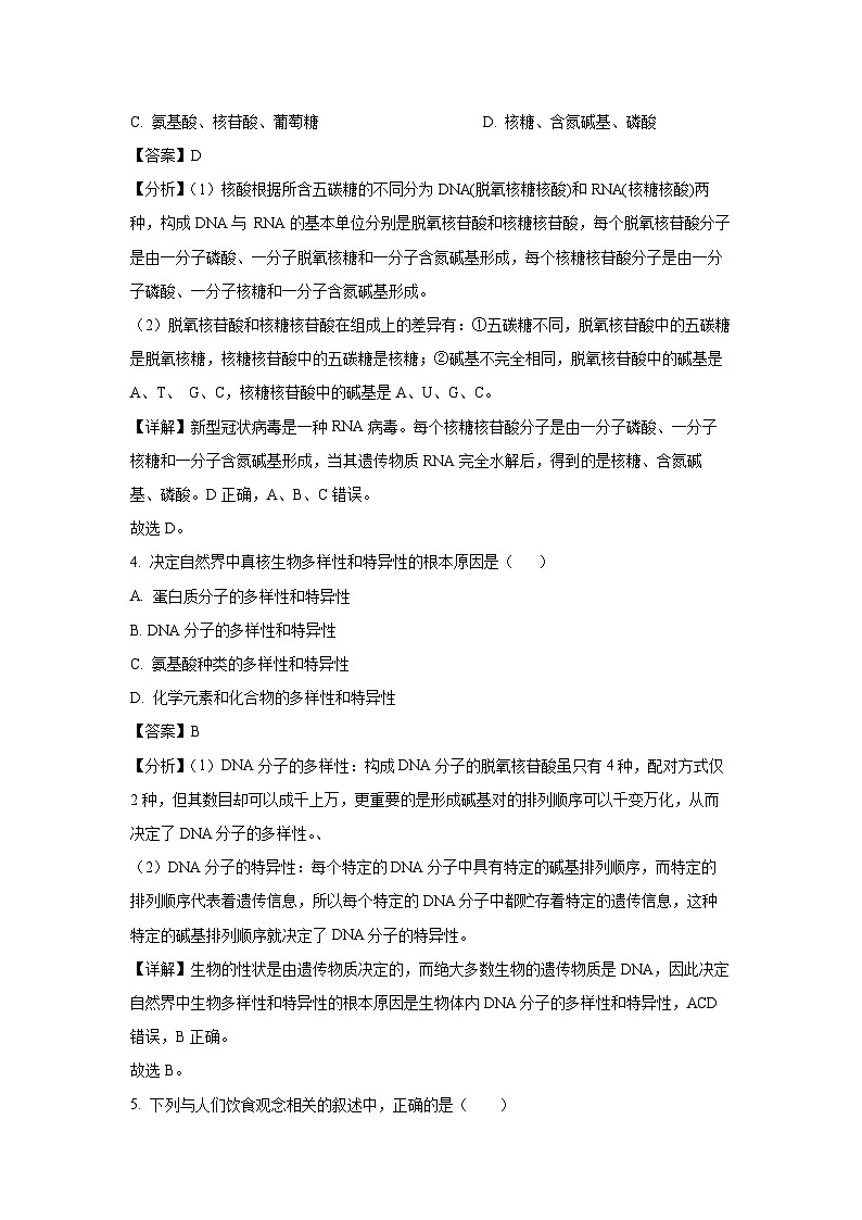 北京市丰台区2024-2025学年高一上学期期中考试生物试卷第2页