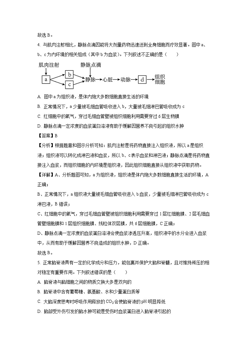 河北省枣强中学2024-2025学年高二上学期11月月考生物试卷（解析版）第3页