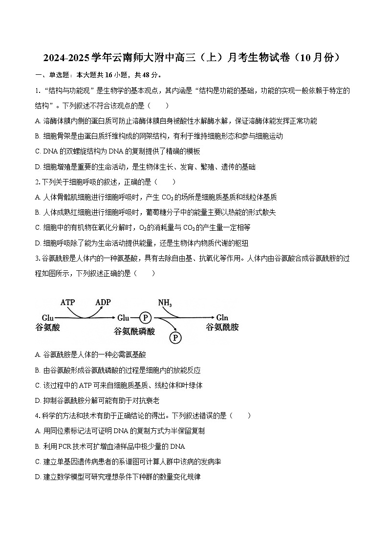 2024-2025学年云南师大附中高三（上）月考生物学试卷（10月份）（含答案）第1页