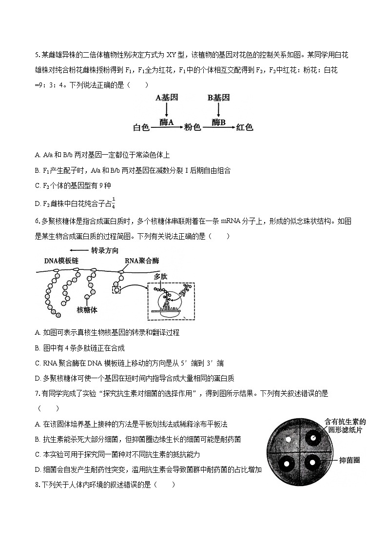 2024-2025学年云南师大附中高三（上）月考生物学试卷（10月份）（含答案）第2页