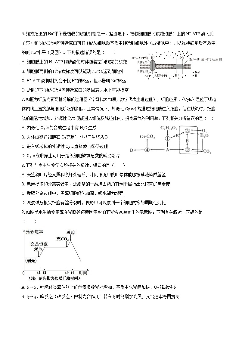 2024-2025学年江苏省常州市联盟校高三（上）月考生物试卷（10月份）（含答案）第2页