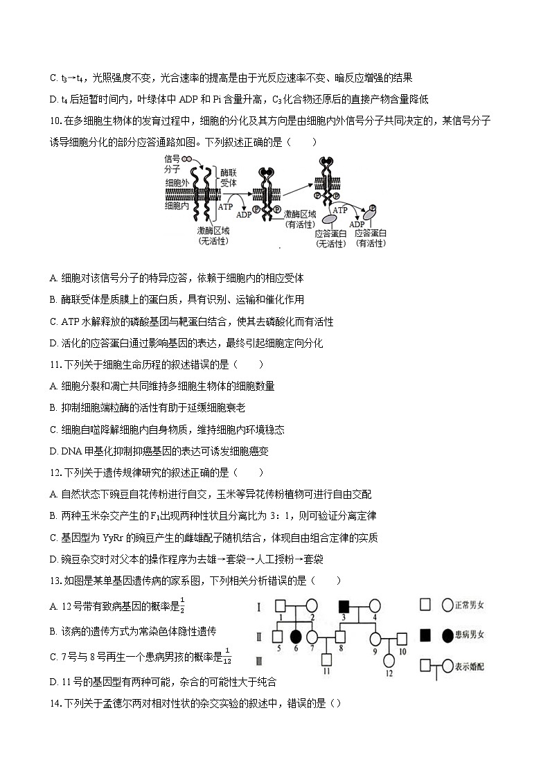2024-2025学年江苏省常州市联盟校高三（上）月考生物试卷（10月份）（含答案）第3页