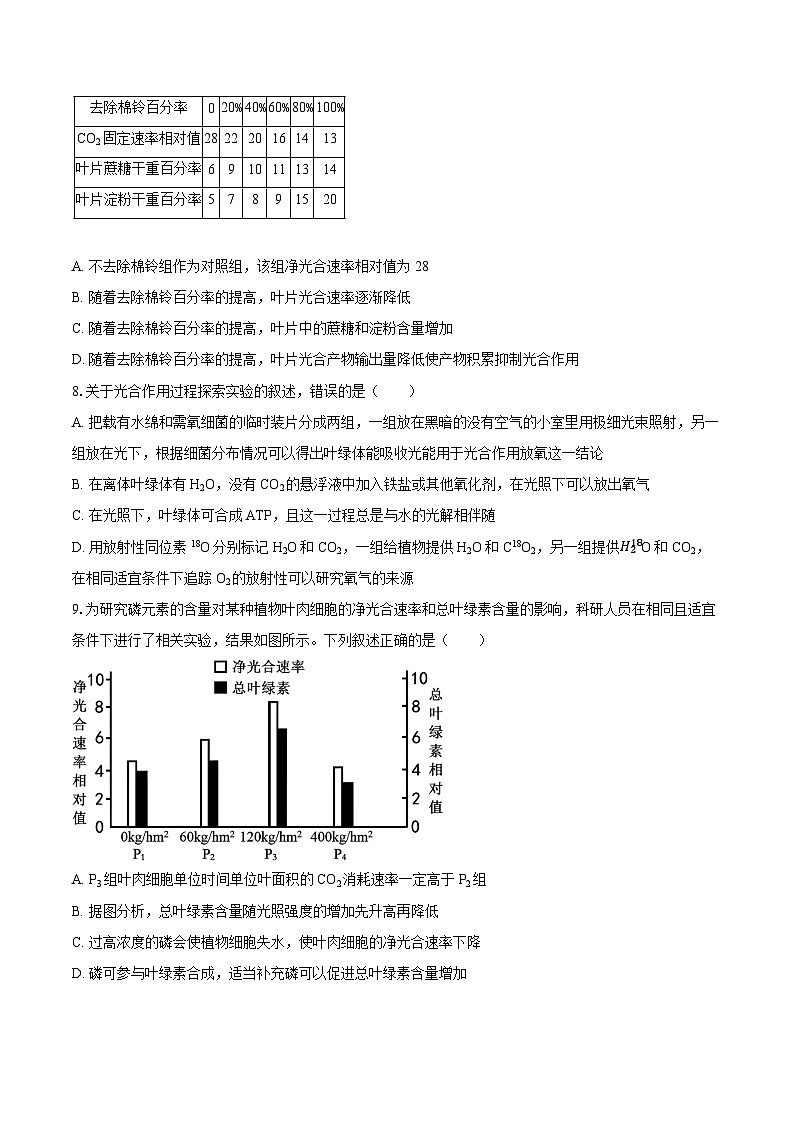 2024-2025学年河北省衡水市高三（上）第二次调研生物学试卷（9月份）（含答案）第3页