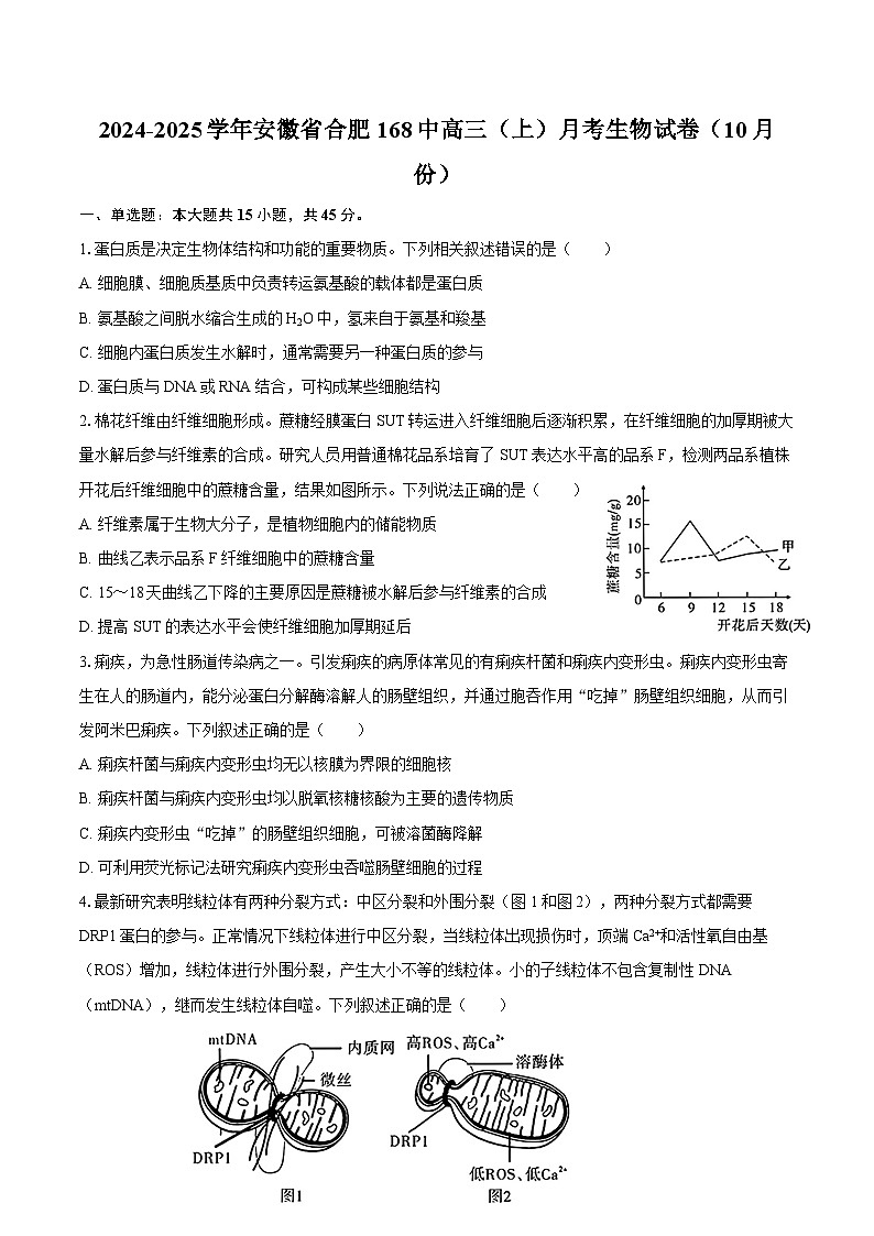 2024-2025学年安徽省合肥168中高三（上）月考生物试卷（10月份）（含答案）第1页