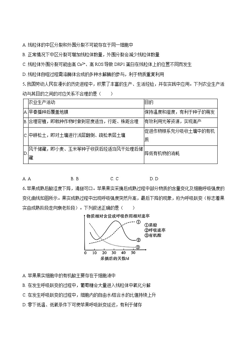 2024-2025学年安徽省合肥168中高三（上）月考生物试卷（10月份）（含答案）第2页