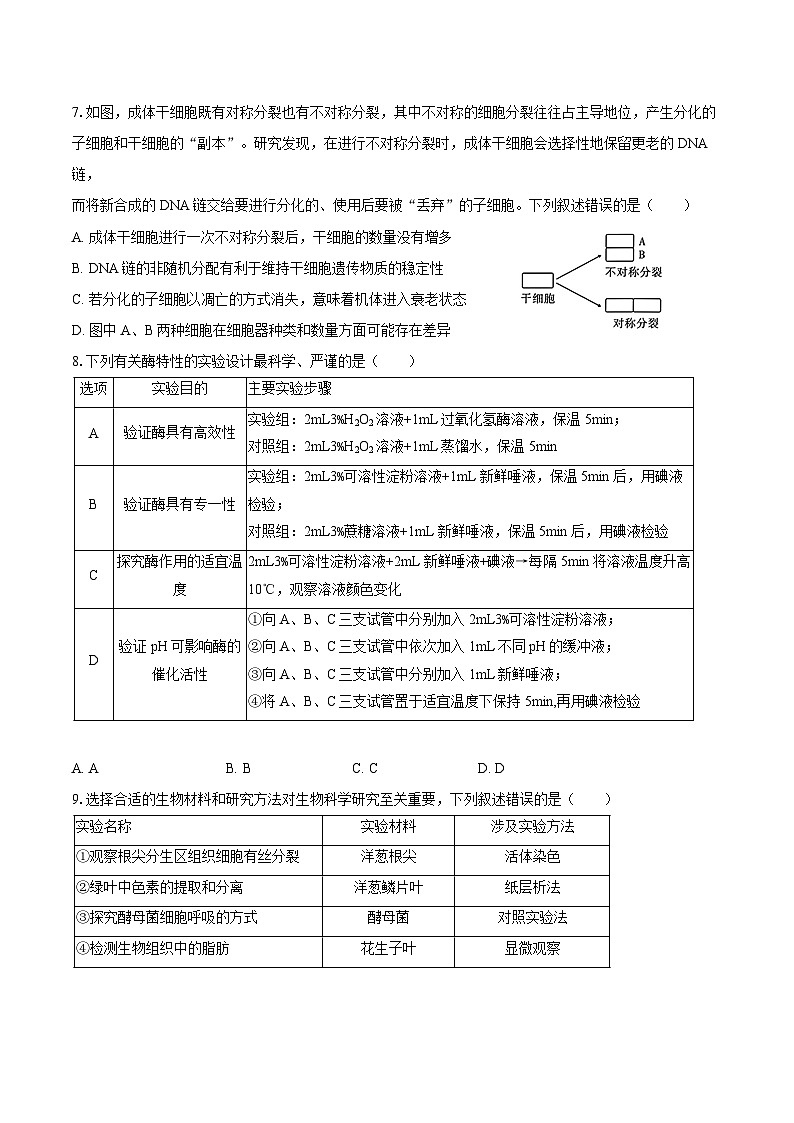 2024-2025学年安徽省合肥168中高三（上）月考生物试卷（10月份）（含答案）第3页