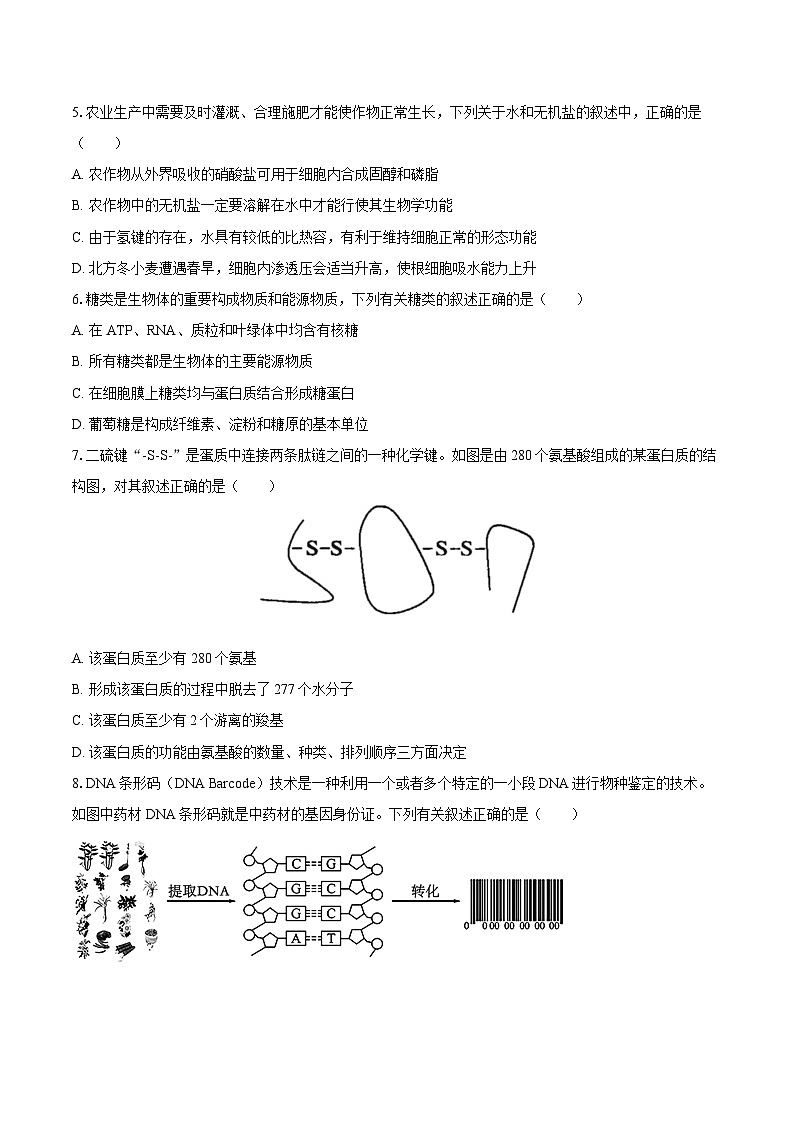 2024-2025学年黑龙江省实验中学高三（上）第一次月考生物试卷（含答案）第2页