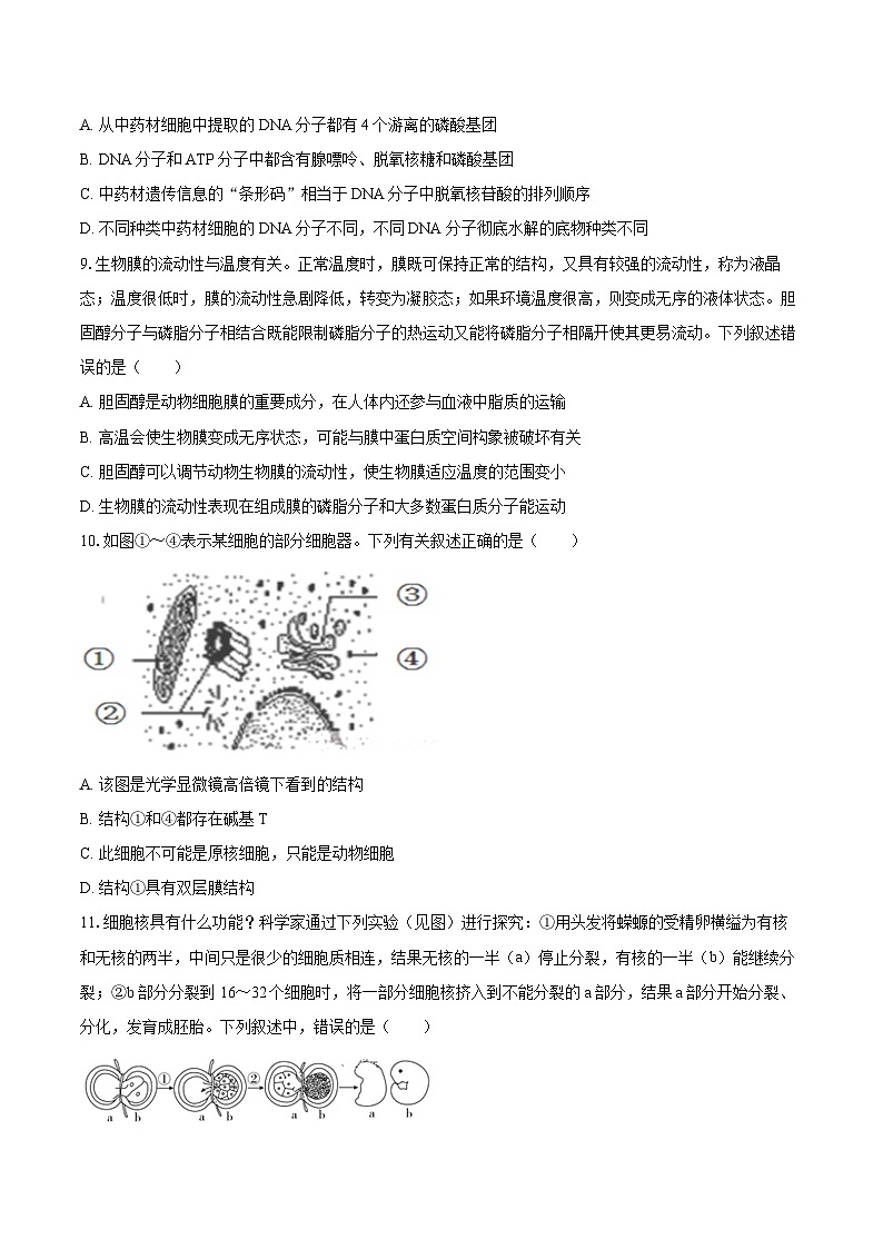 2024-2025学年黑龙江省实验中学高三（上）第一次月考生物试卷（含答案）第3页