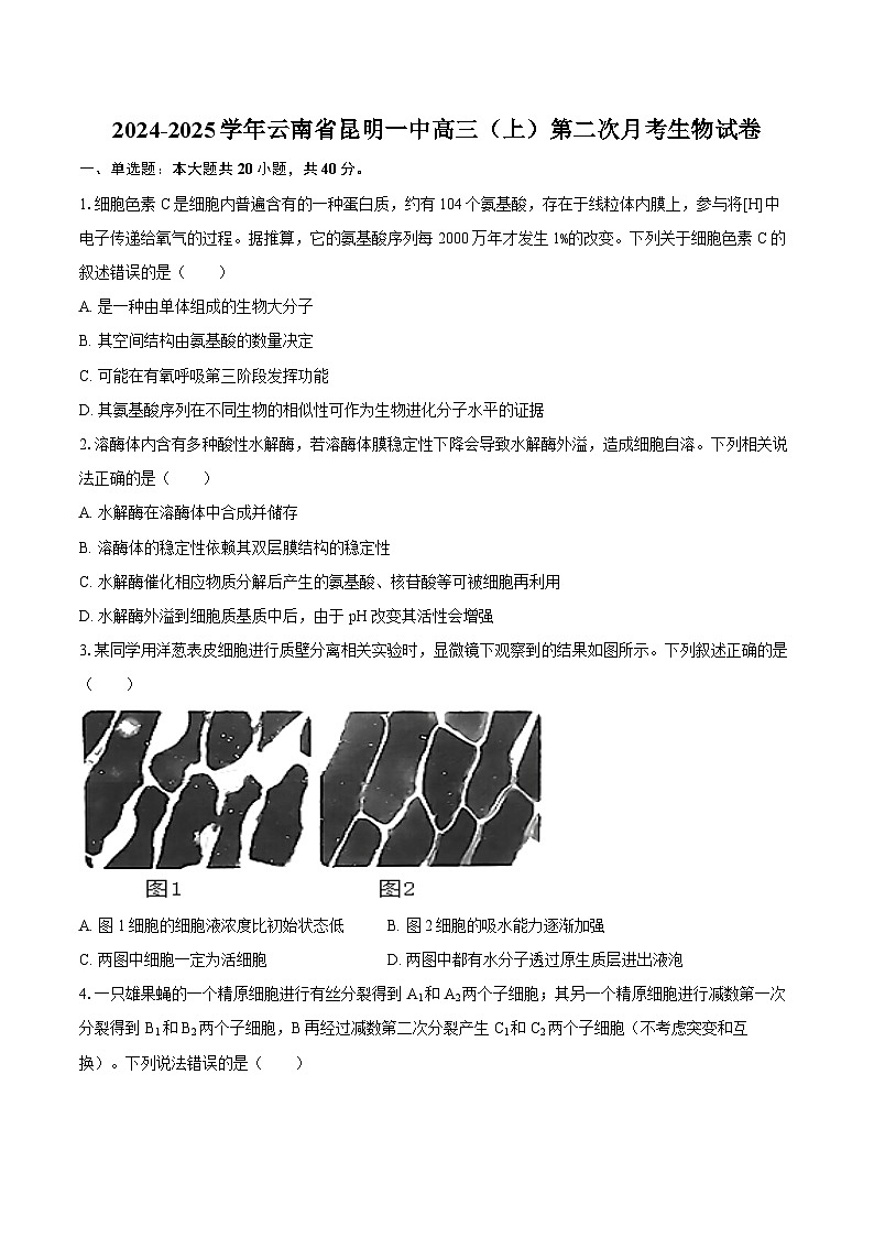 2024-2025学年云南省昆明一中高三（上）第二次月考生物学试卷（含答案）第1页