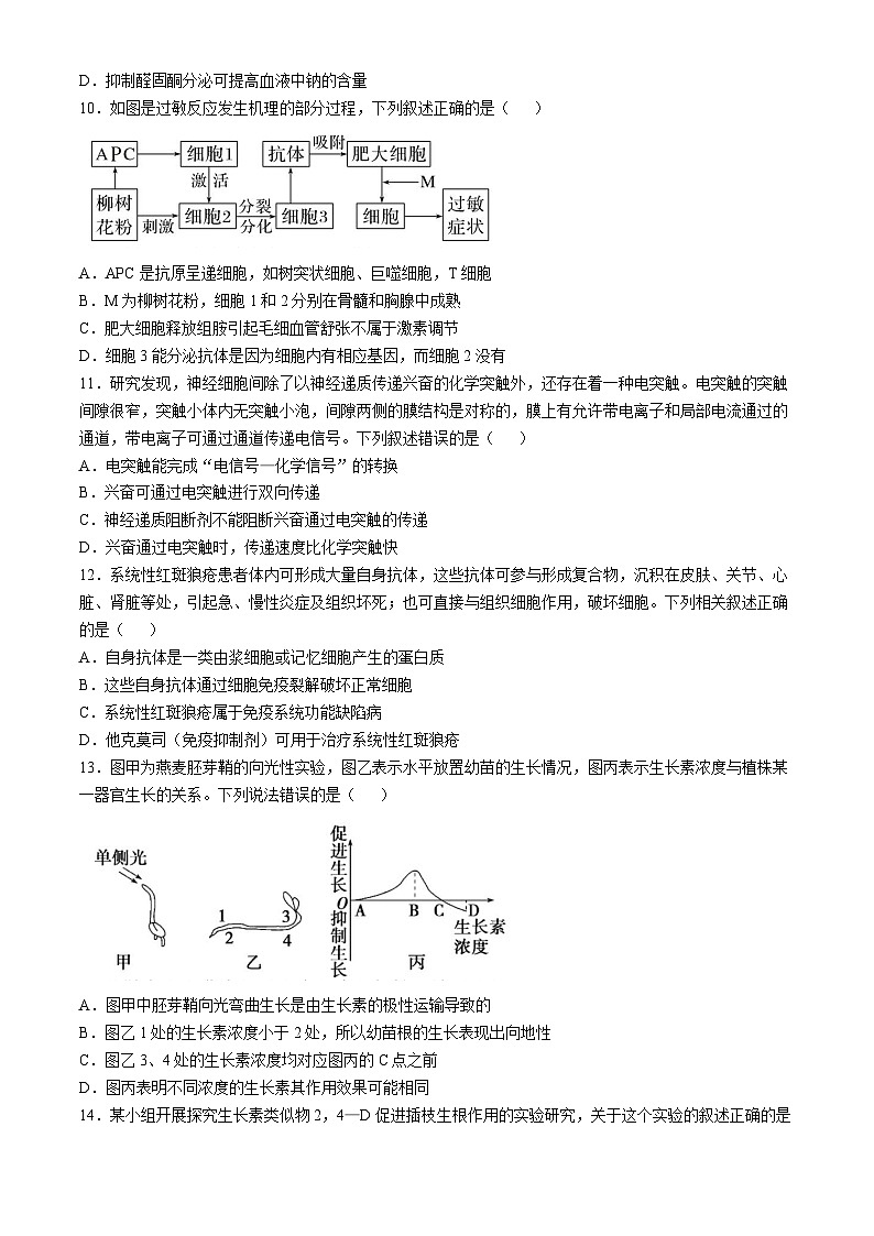 江苏省连云港市东海县2024-2025学年高二上学期期中考试生物试题第3页