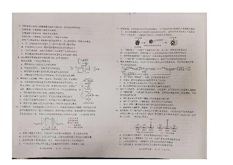 山东省日照市高二校际联合考试2024-2025学年高二上学期11月期中生物试题第2页