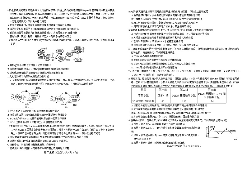 山东名校考试联盟2024-2025学年高二上学期11月期中检测生物试题02
