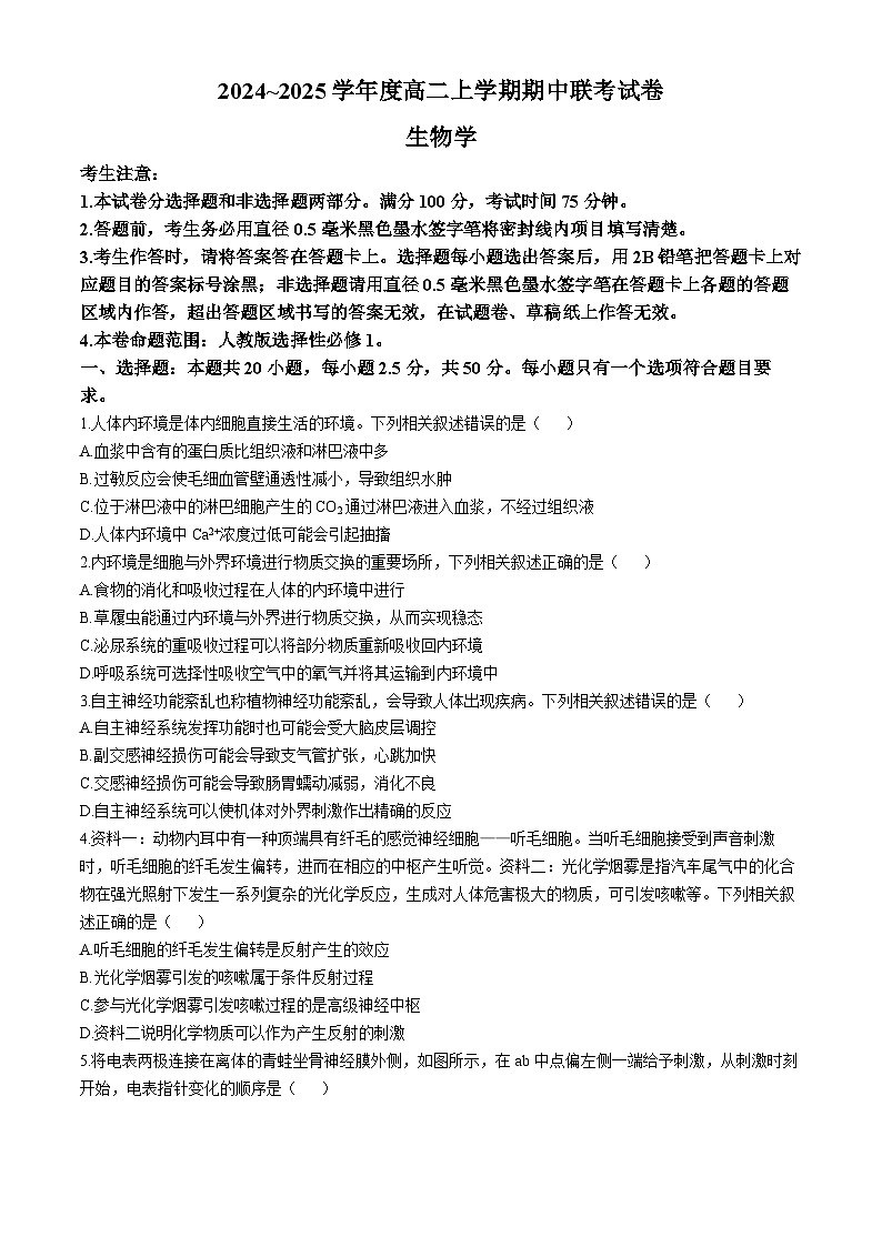 河南省商丘市商丘市商师联盟期中考试2024-2025学年高二上学期11月期中生物试题第1页