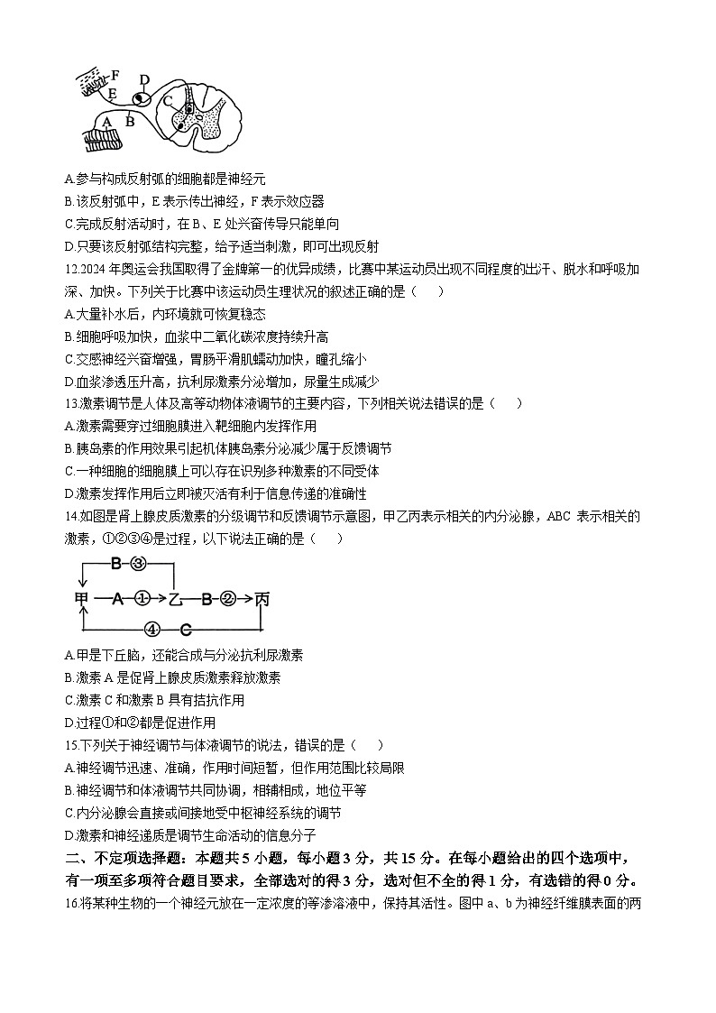 河南省驻马店市高二期中环际大联考2024-2025学年高二上学期11月期中生物试题(无答案)第3页