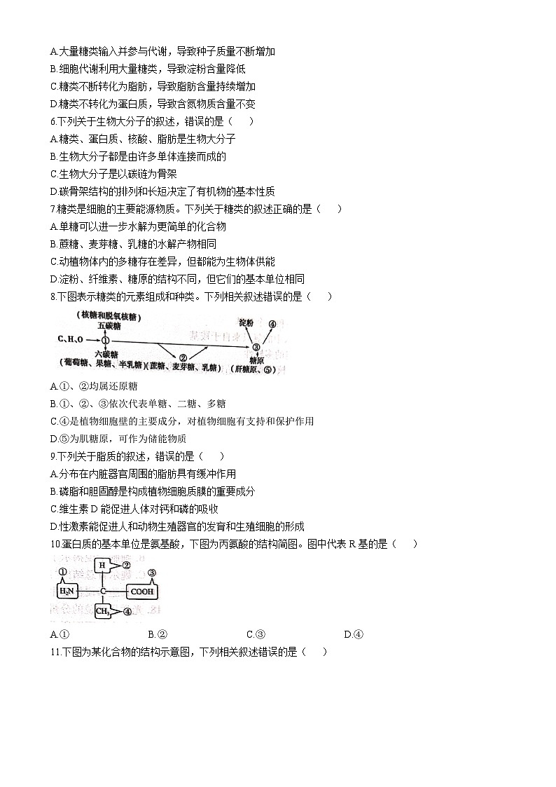 江苏省徐州市2024-2025学年高一上学期期中考试生物试题(无答案)第2页