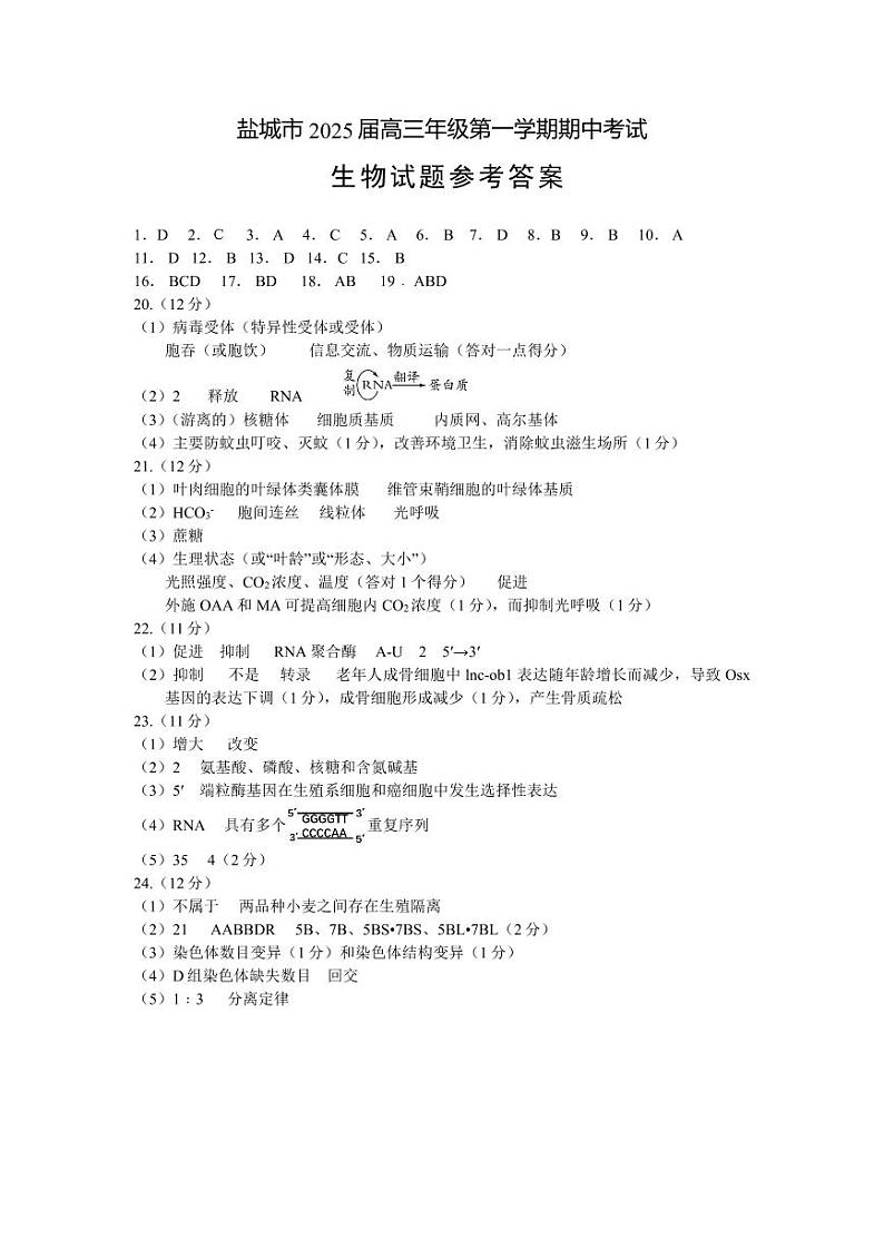 江苏省盐城市2024-2025学年高三上学期11月期中考试 生物   Word版含答案01