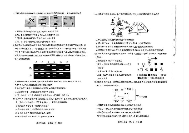 山西省太原市2024-2025学年第一学期期中测评高三生物试卷(PDF版，含答案)第2页