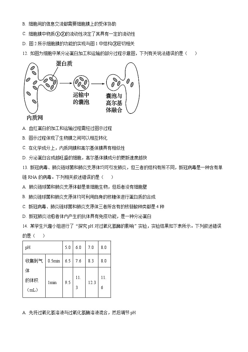 浙江省宁波中学2024—2025学年高一上学期期中考试生物试题 Word版无答案第3页
