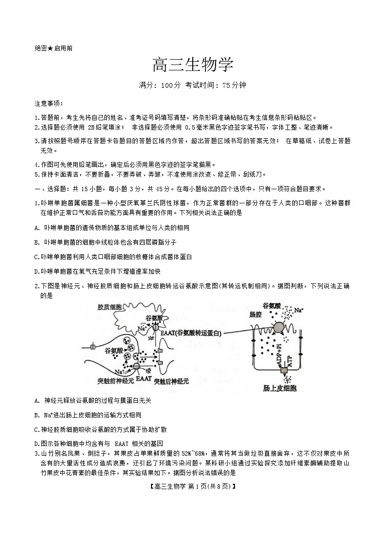 安徽省鼎尖联盟2024-2025学年高三上学期期中考试生物学试题第1页