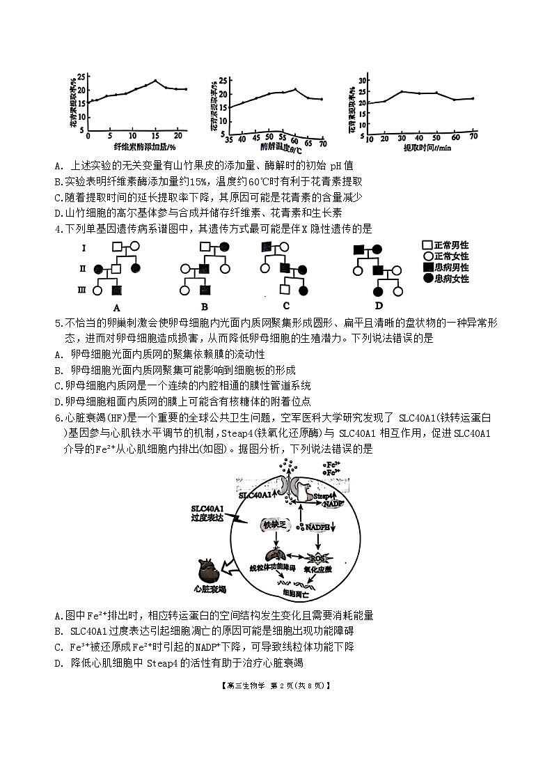 安徽省鼎尖联盟2024-2025学年高三上学期期中考试生物学试题第2页