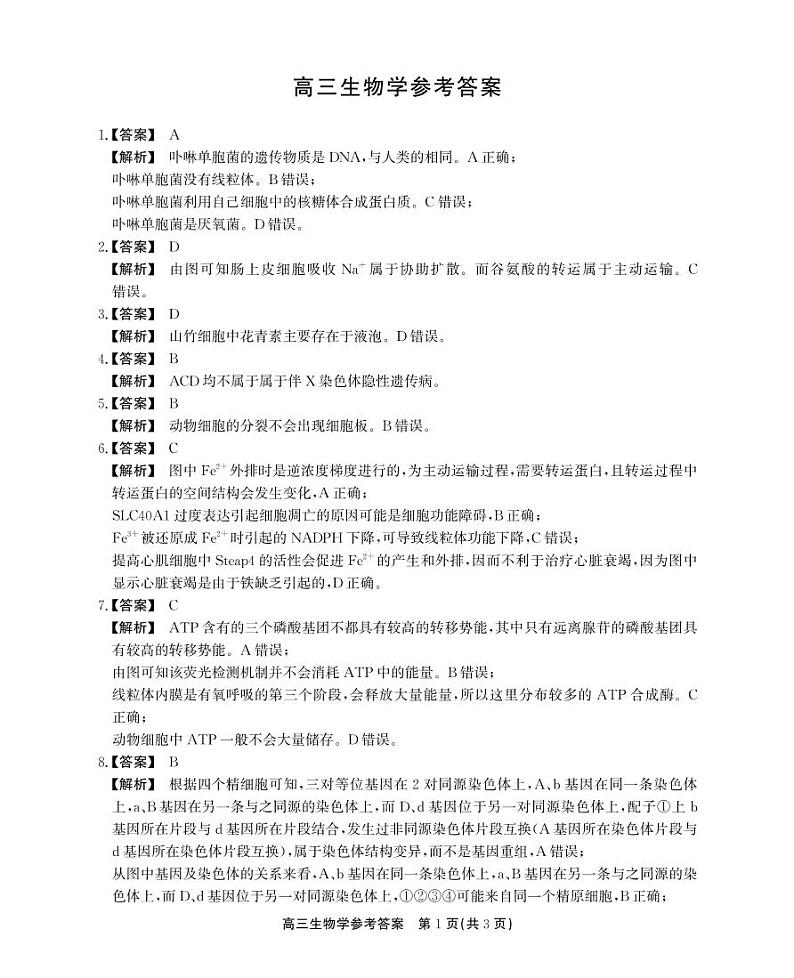 安徽省鼎尖联盟2024-2025学年高三上学期期中考试生物学试题解析第1页