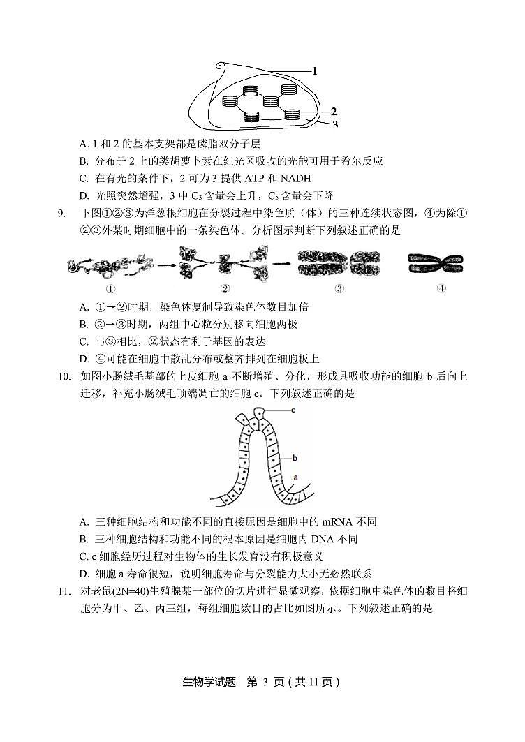 2025黑龙江省龙东联盟高三上学期11月月考试题生物PDF版含解析（可编辑）第3页