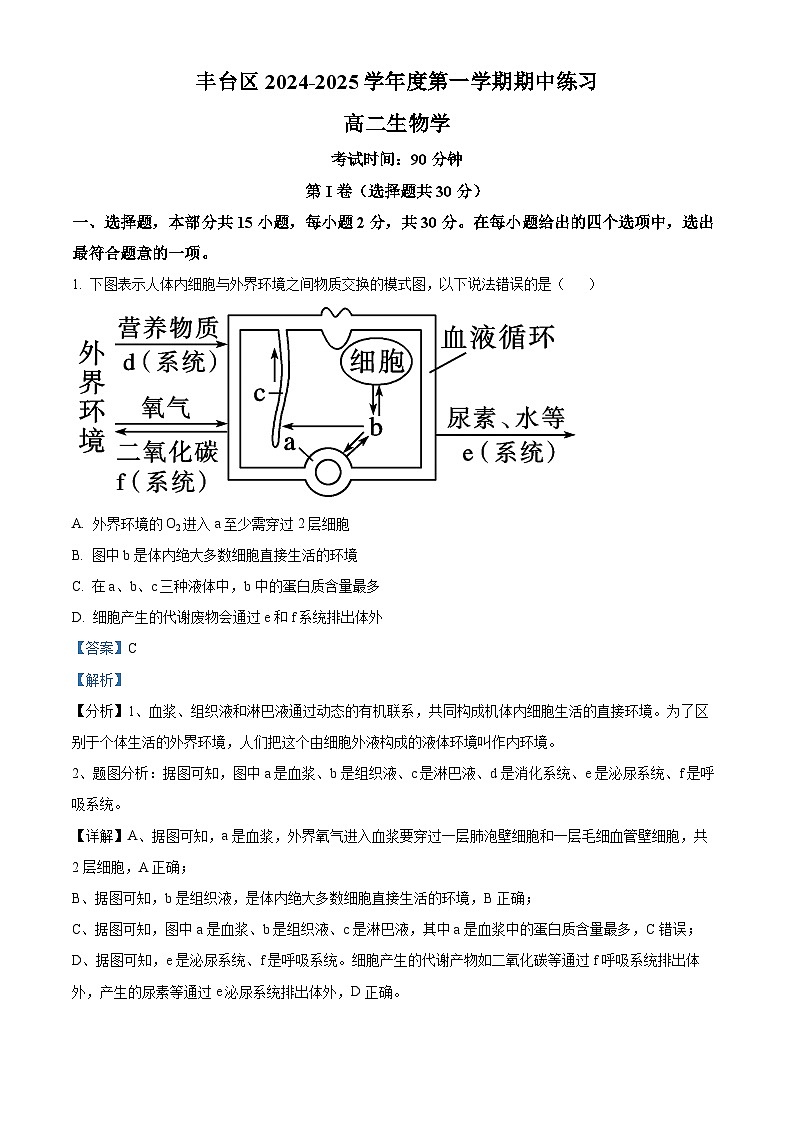 北京市丰台区2024-2025学年高二上学期11月期中考试生物试题含解析第1页