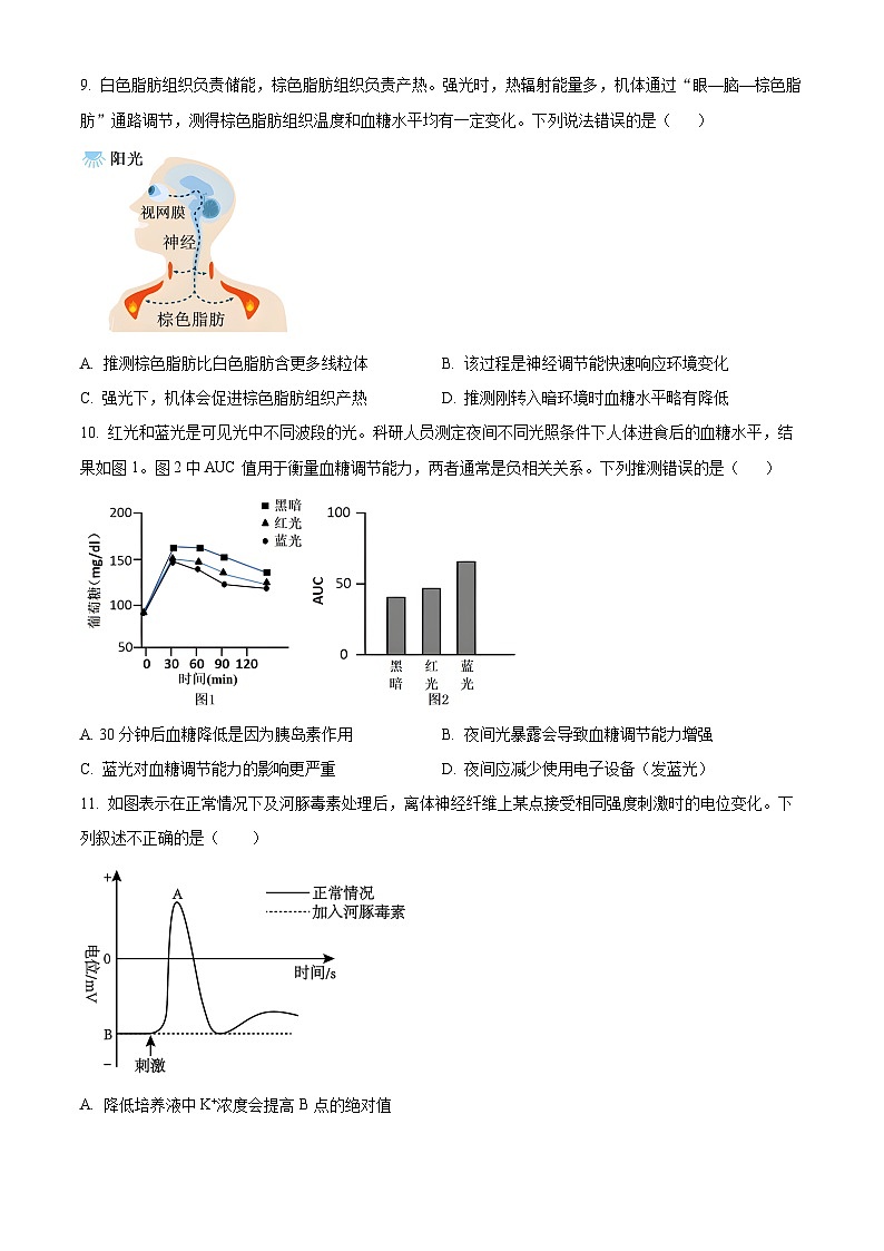 北京市丰台区2024-2025学年高二上学期11月期中考试生物试题无答案第3页