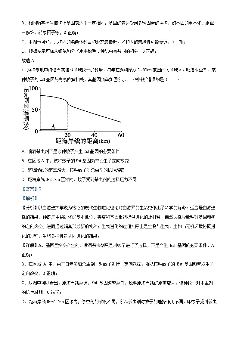 湖北省武汉市华中师范大学第一附属中学2024-2025学年高二上学期11月期中生物试题含解析第3页