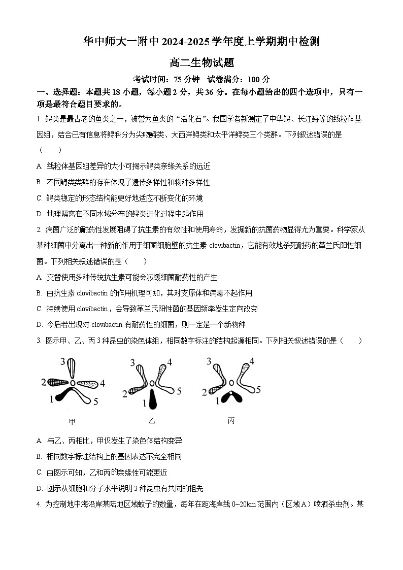 湖北省武汉市华中师范大学第一附属中学2024-2025学年高二上学期11月期中生物试题无答案第1页