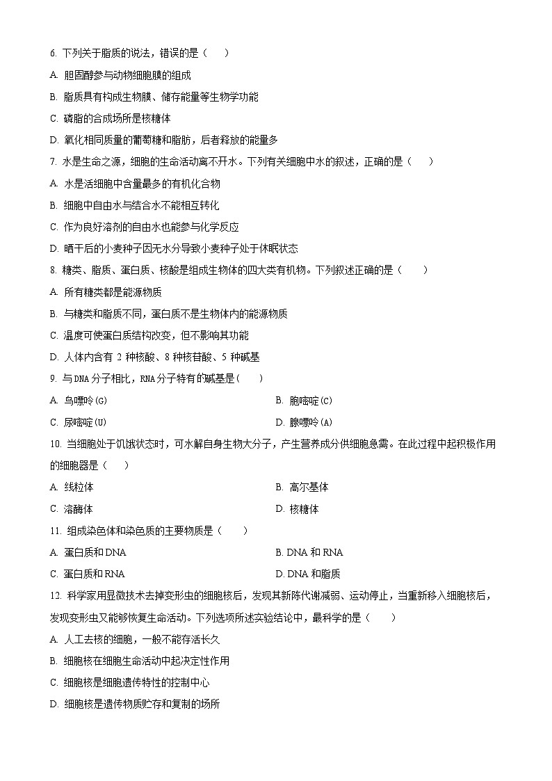 浙江省宁波五校联盟2024-2025学年高一上学期期中联考生物试题 Word版无答案第2页