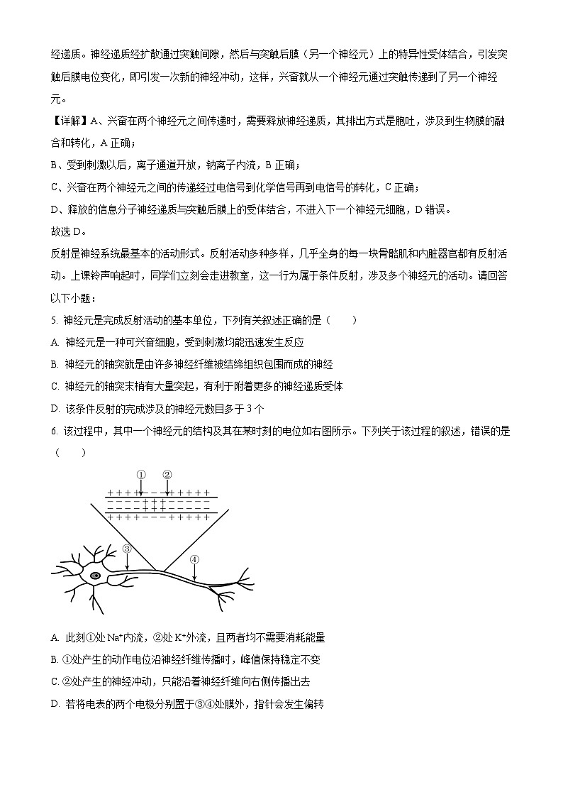 浙江省宁波五校联盟2024-2025学年高二上学期期中联考生物试卷 Word版含解析第3页