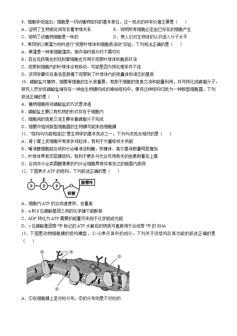 浙江省杭州地区（含周边）重点中学2024-2025学年高一上学期期中联考生物试卷（Word版附答案）第2页