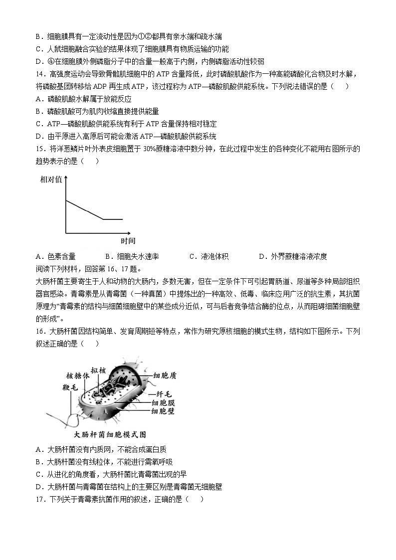 浙江省杭州地区（含周边）重点中学2024-2025学年高一上学期期中联考生物试卷（Word版附答案）第3页