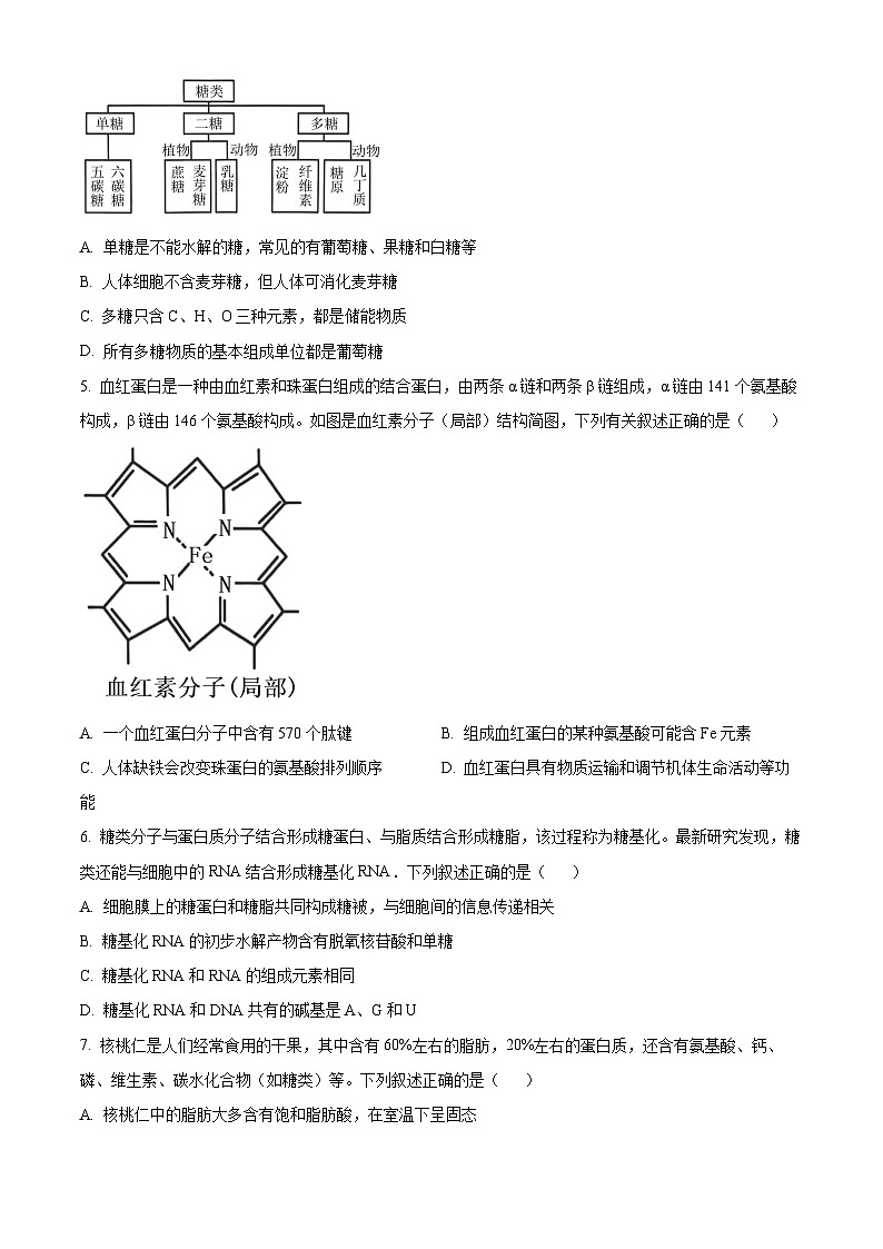 河南省南阳市六校2024-2025学年高一上学期期中联考生物试卷（Word版附答案）02