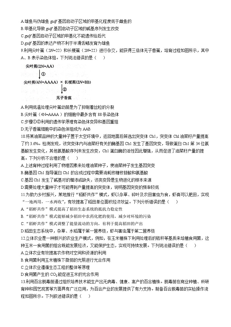 河北省邢台市质检联盟2024-2025学年高三上学期11月期中考试生物试卷（Word版附答案）第3页