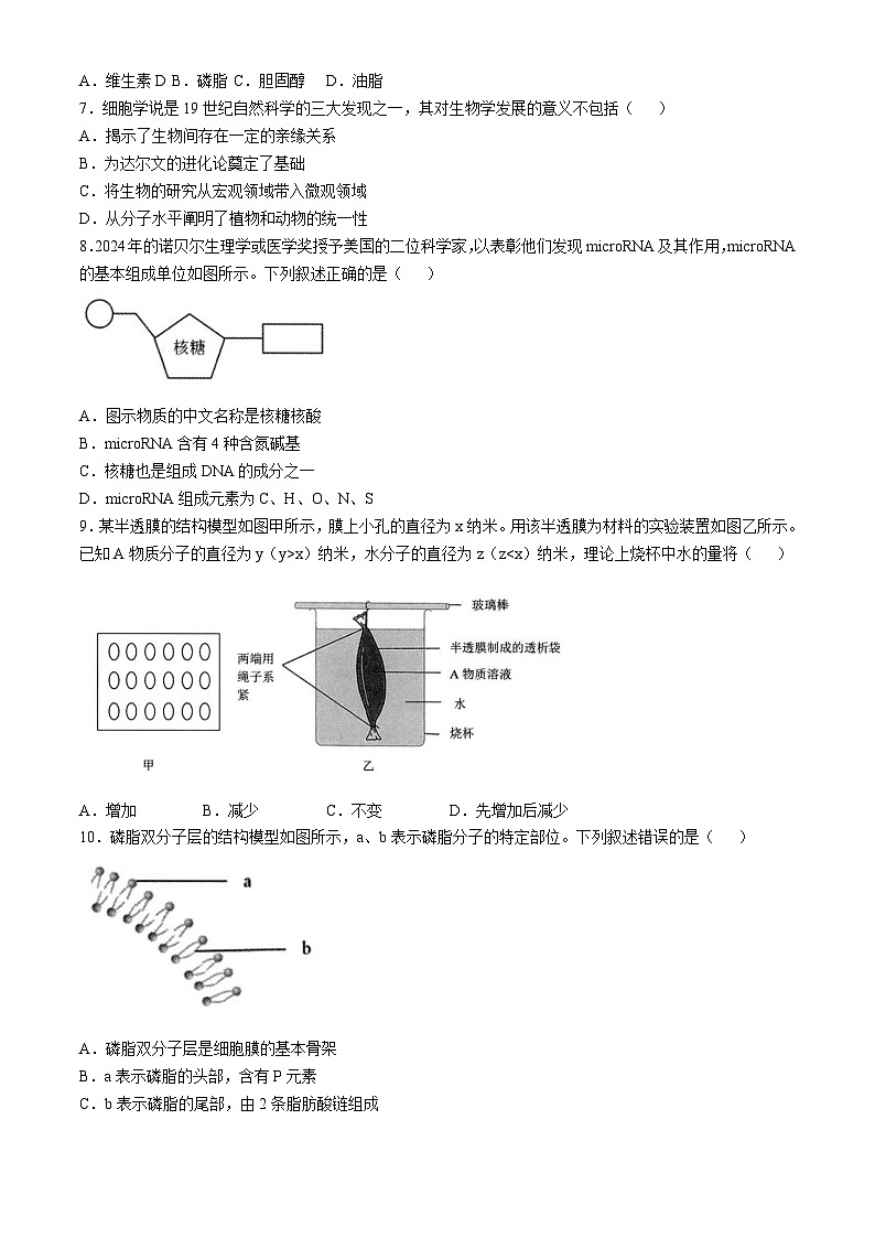 浙江省杭州市浙里特色联盟2024-2025学年高一上学期11月期中生物试题第2页