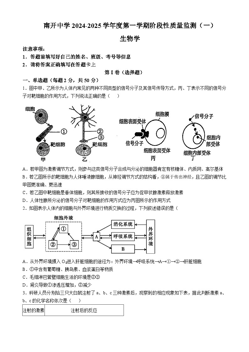 天津市南开区天津市南开中学2024-2025学年高二上学期11月期中生物试题01