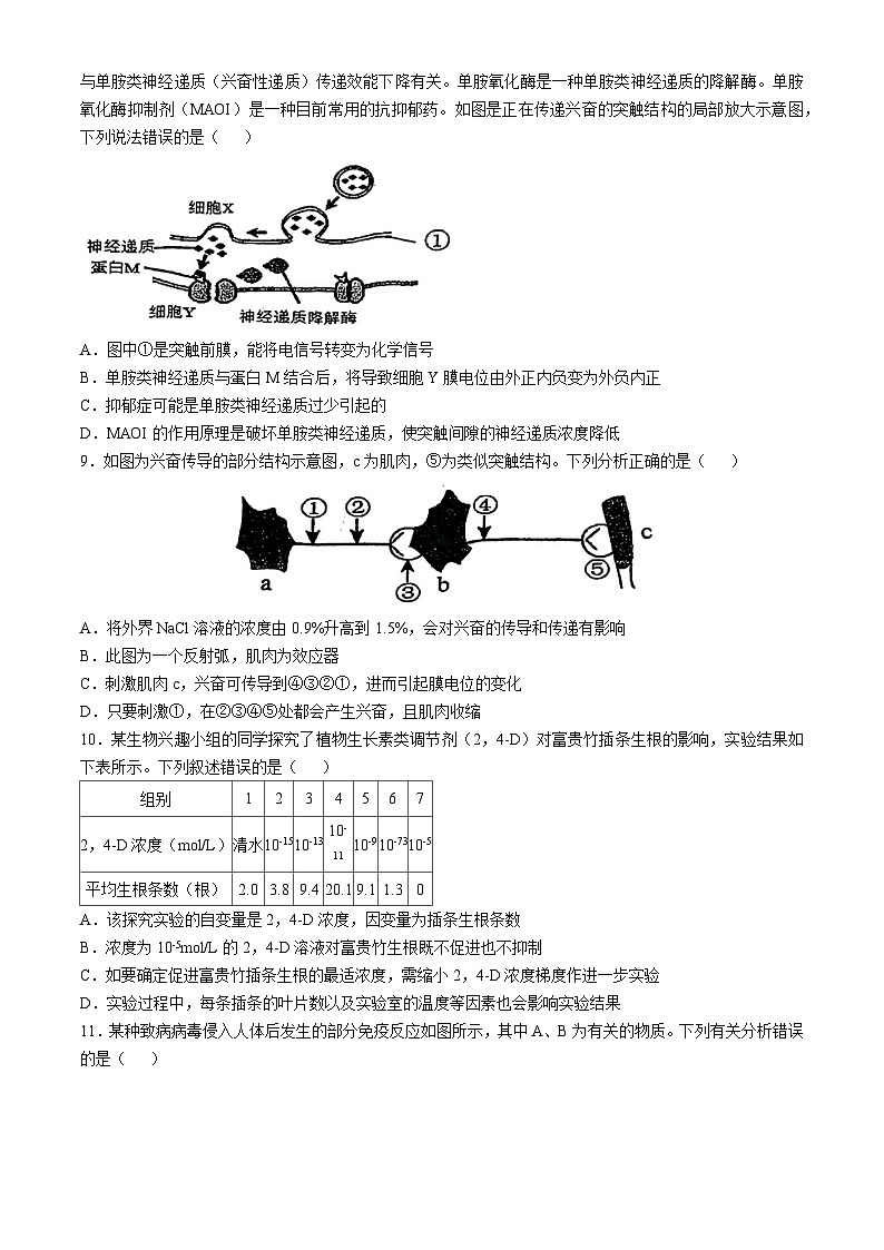 天津市南开区天津市南开中学2024-2025学年高二上学期11月期中生物试题03