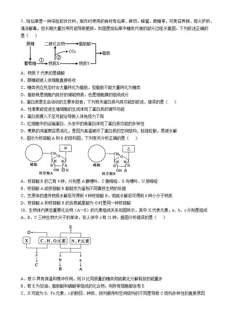 山西省朔州市怀仁市第一中学校2024-2025学年高一上学期11月期中考试生物试题第2页