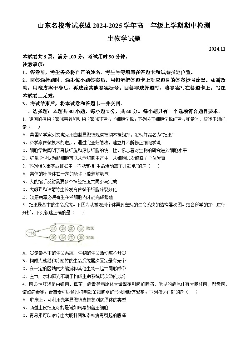 山东省名校考试联盟2024-2025学年高一上学期11月期中检测生物试题(无答案)第1页