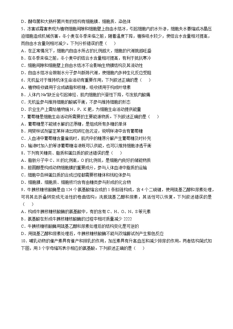 山东省名校考试联盟2024-2025学年高一上学期11月期中检测生物试题(无答案)第2页